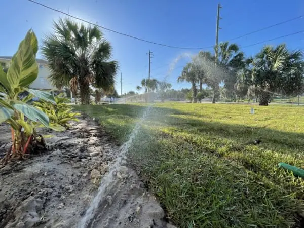 a lawn sprinkler