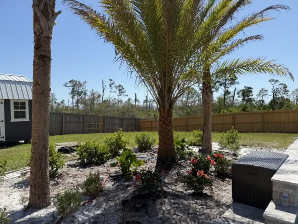 Backyard palm garden with flowering shrubs and mulch at a Florida home