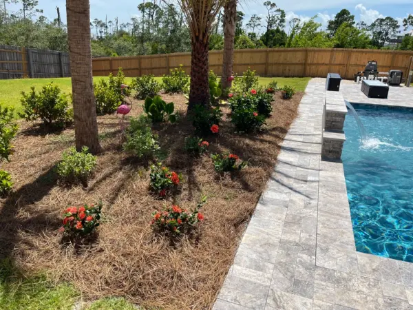 Small landscape bed with tropical plants added around a pool patio